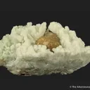 Plumboan Aragonite var. Tarnowitzite (fl) and Calcite (fl) - image 2