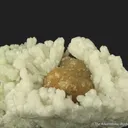 Plumboan Aragonite var. Tarnowitzite (fl) and Calcite (fl) - image 1