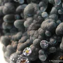 Plumbogummite - image 2