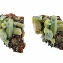 Plumbogummite post Pyromorphite - image 1