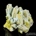 Plumbogummite ps Pyromorphite - image 1