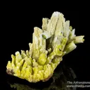 Plumbogummite ps Pyromorphite - image 4
