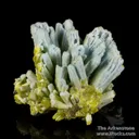 Plumbogummite ps Pyromorphite - image 1