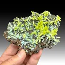 Plumbogummite replacing Pyromorphite - image 1