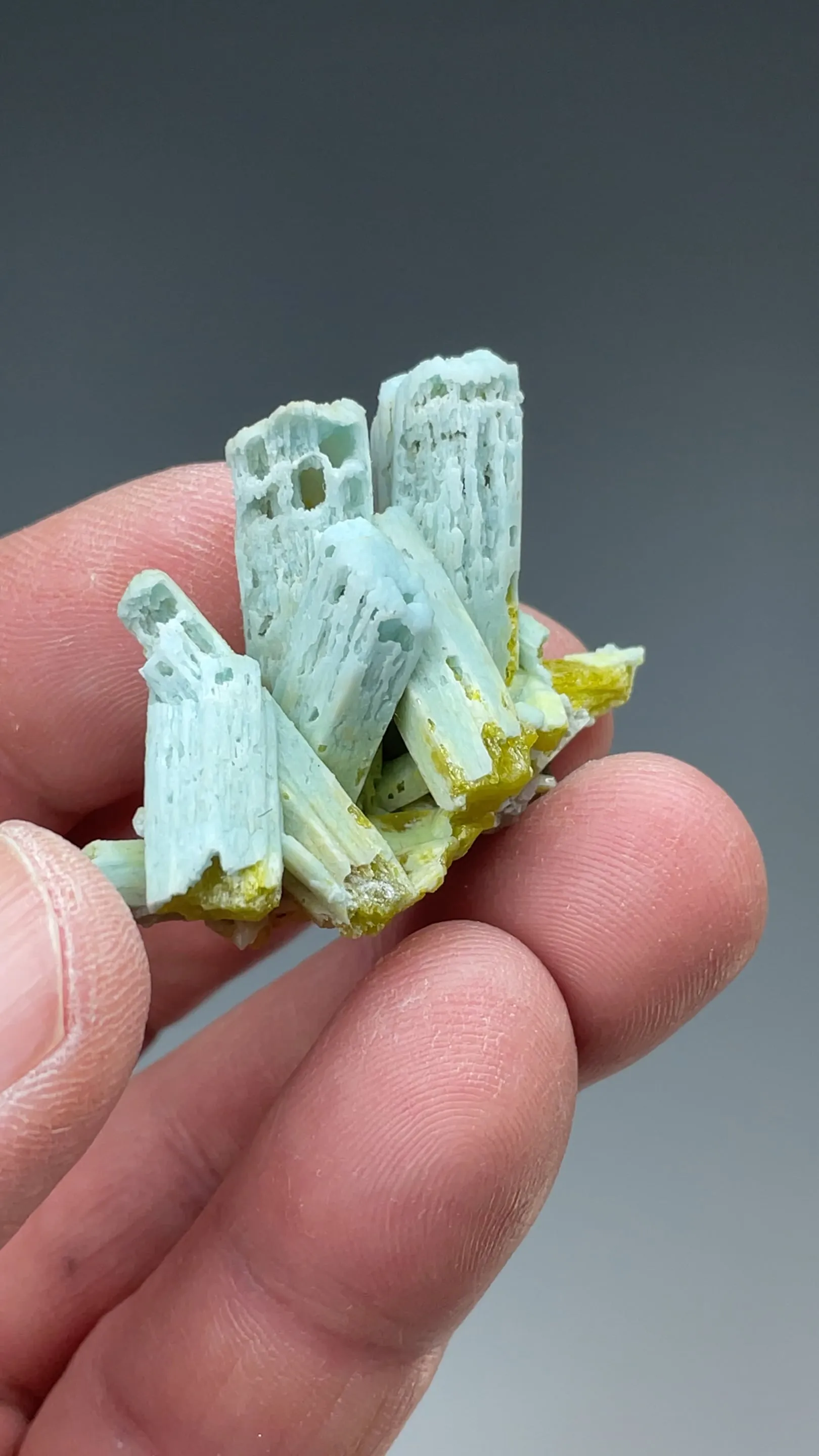 Plumbogummite replacing Pyromorphite - image 2
