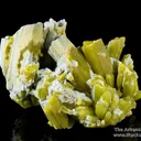 Plumbogummite replacing Pyromorphite - image 1
