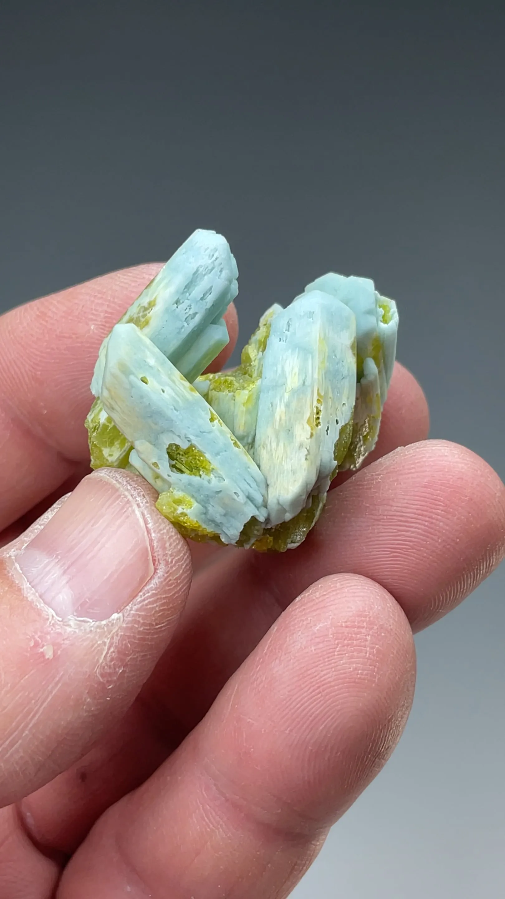 Plumbogummite replacing Pyromorphite - image 2