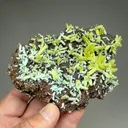 Plumbogummite replacing Pyromorphite - image 2