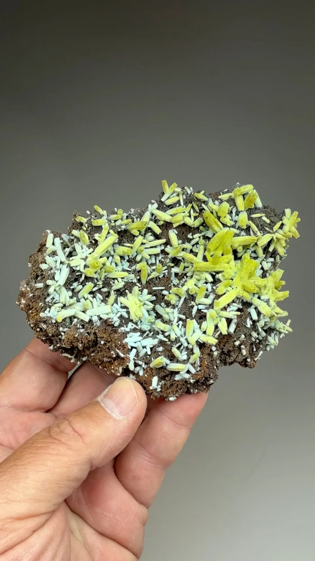 Plumbogummite replacing Pyromorphite - image 2