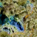 Plumbogummite with Pyromorphite (fl) - image 4