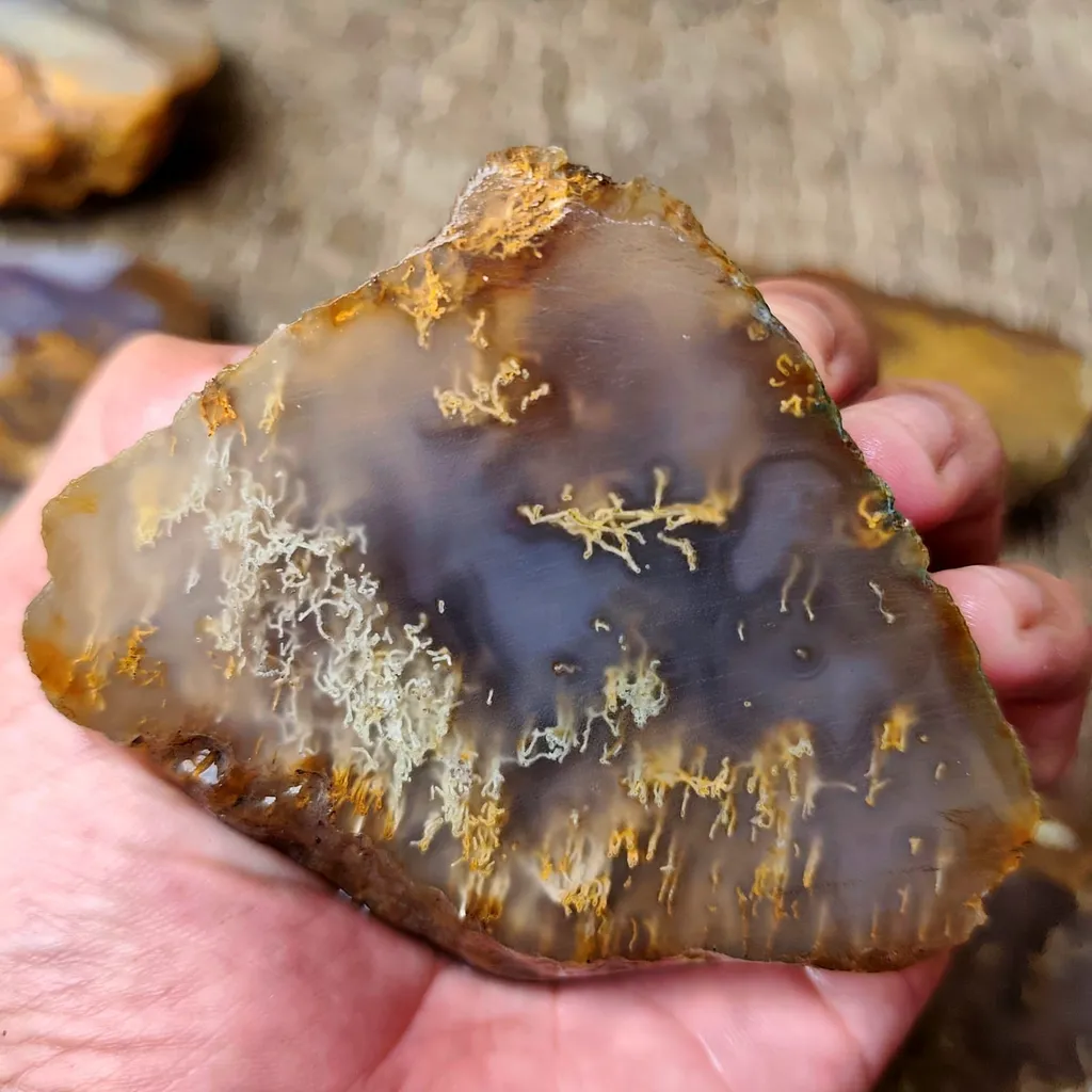 plume - image 6