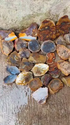 specimen video