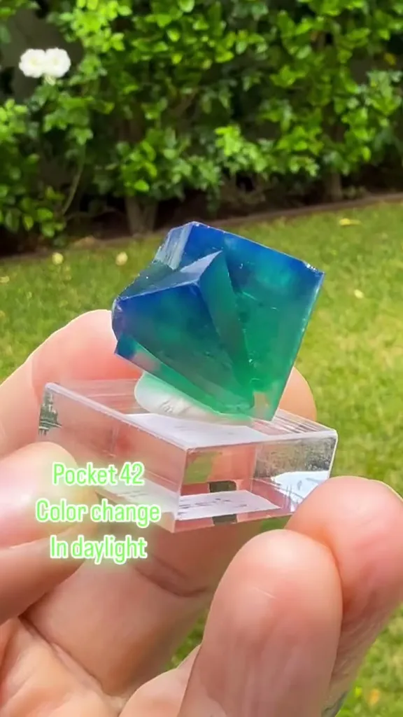 Pocket 42 Fluorite image