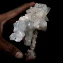 Pointed Apophyllite with Stilbite On Chalcedony Stalactite - image 4