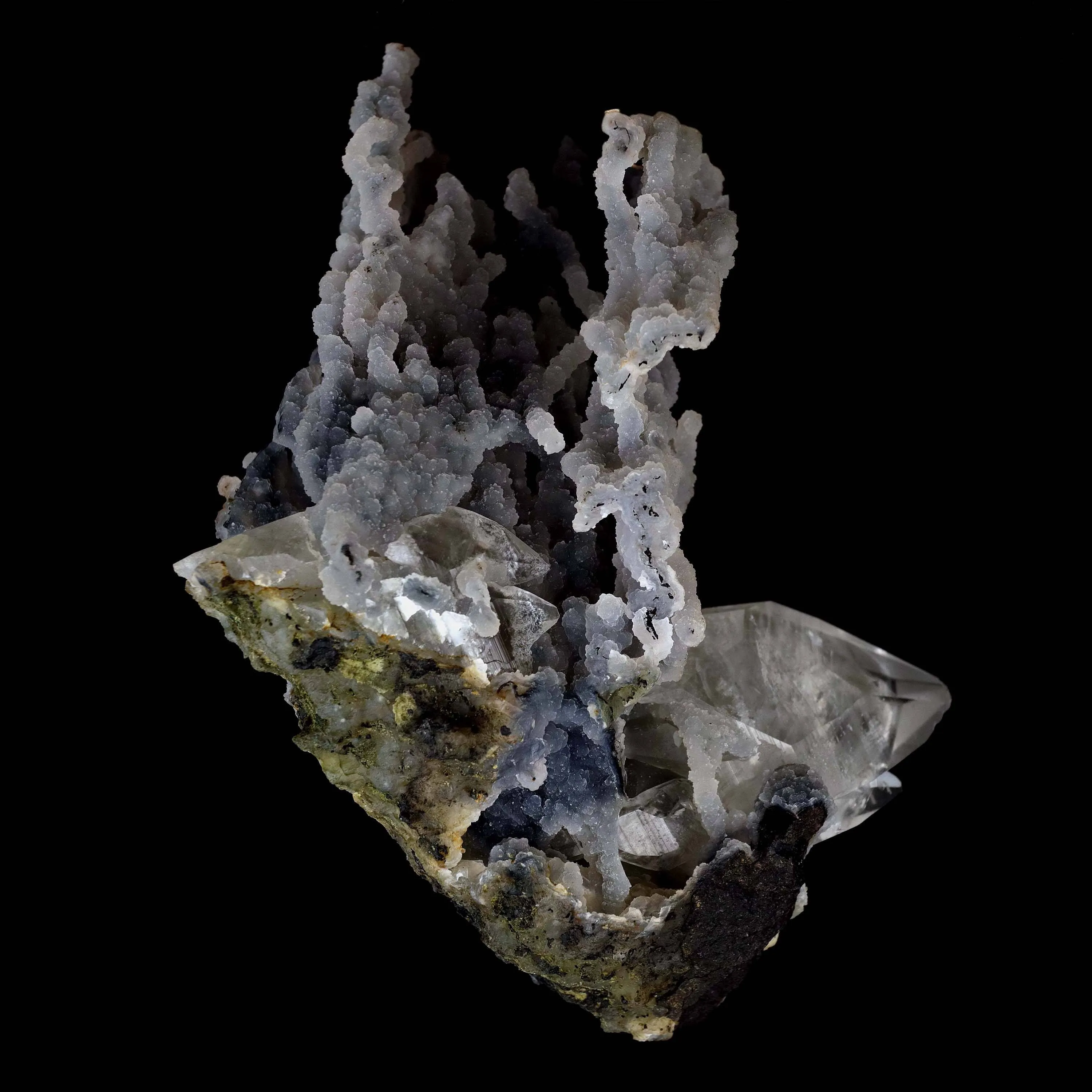 Pointed Calcite Crystal On Chalcedony Coral Formation Natural Mineral Specimen - image 6