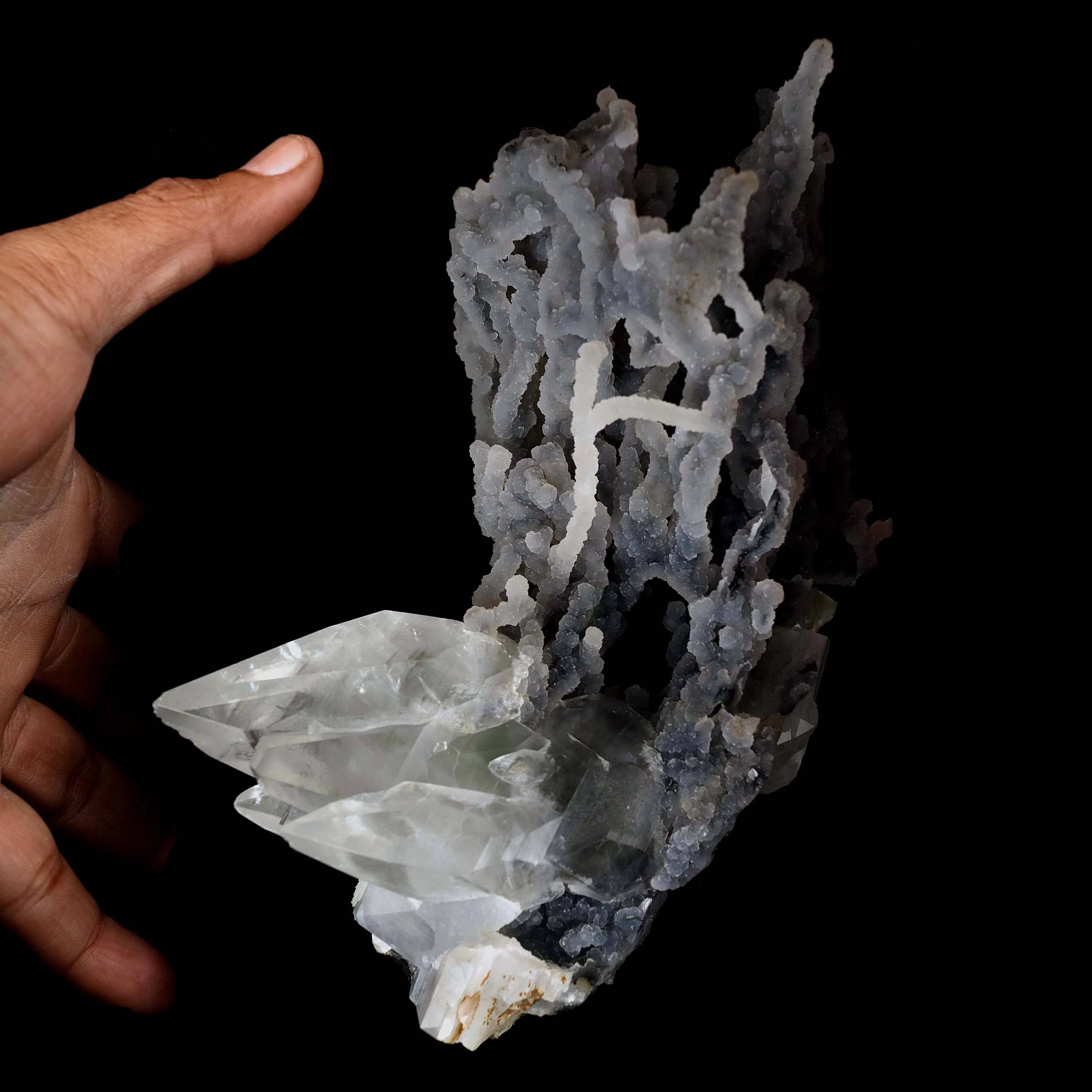 Pointed Calcite Crystal On Chalcedony Coral Formation Natural Mineral Specimen - image 4