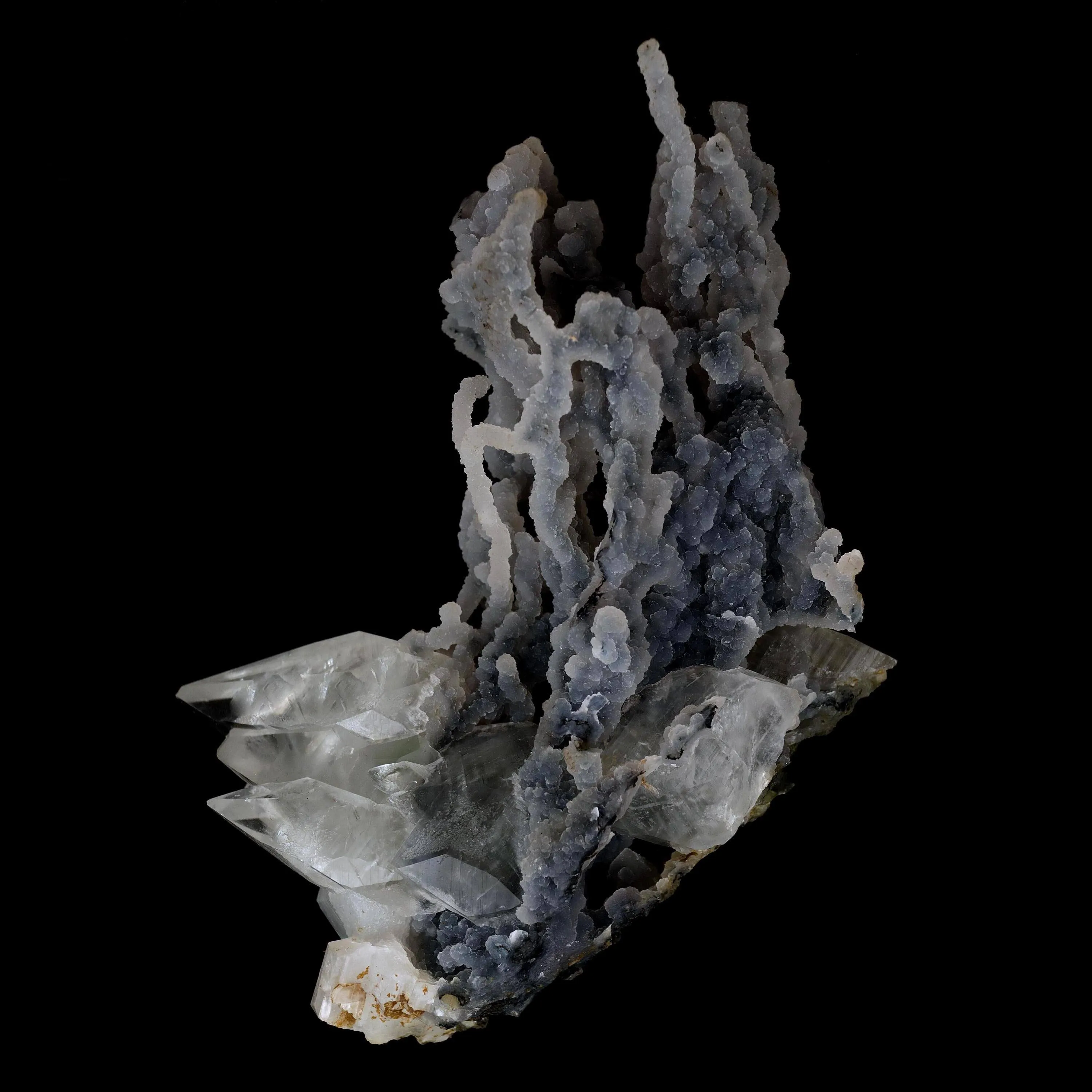 Pointed Calcite Crystal On Chalcedony Coral Formation Natural Mineral Specimen - image 3
