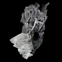 Pointed Calcite Crystal On Chalcedony Coral Formation Natural Mineral Specimen - image 2