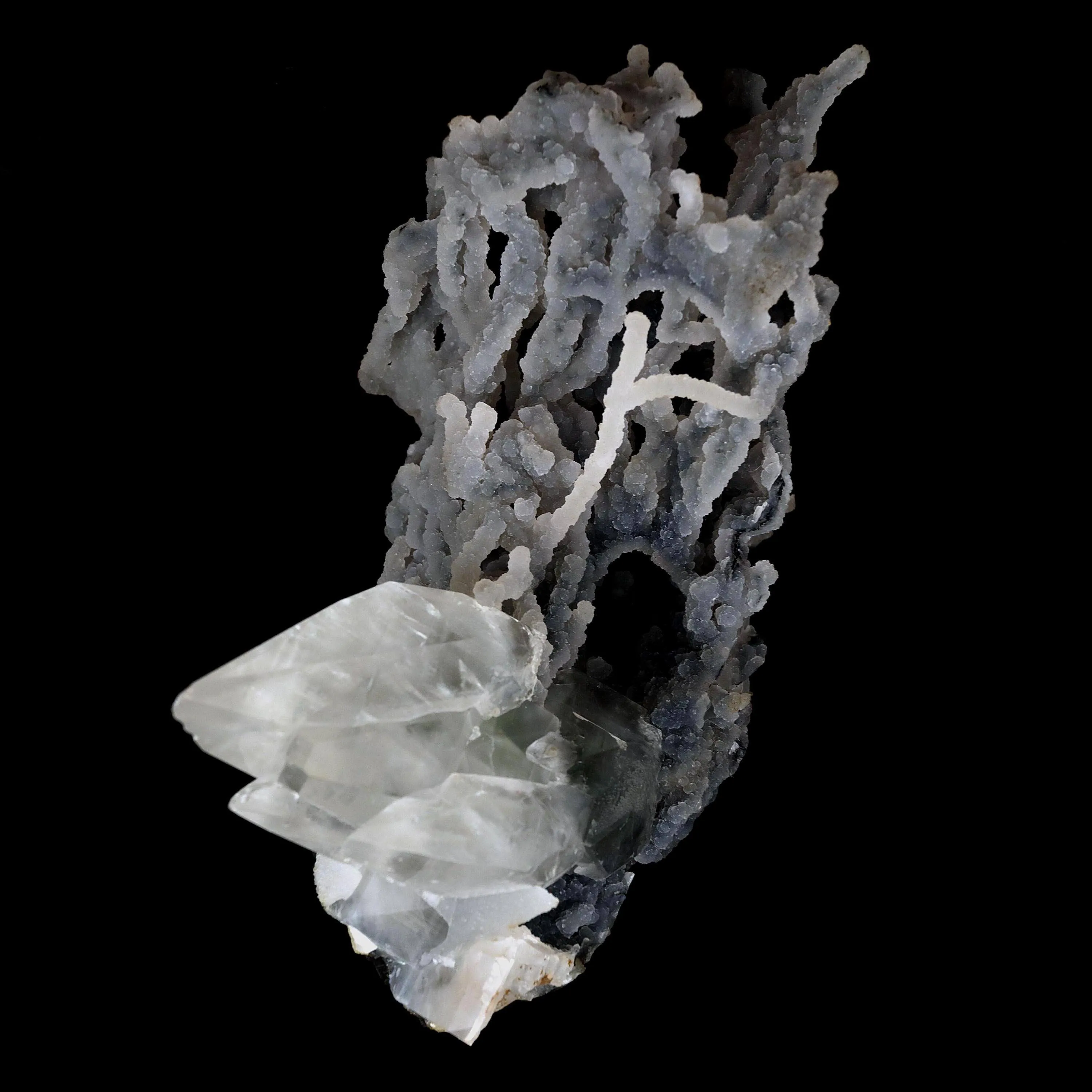 Pointed Calcite Crystal On Chalcedony Coral Formation Natural Mineral Specimen - image 2