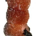 Poldervaartite - image 1