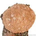 Poldervaartite (2 Styles) - image 3