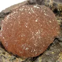 Poldervaartite - image 2