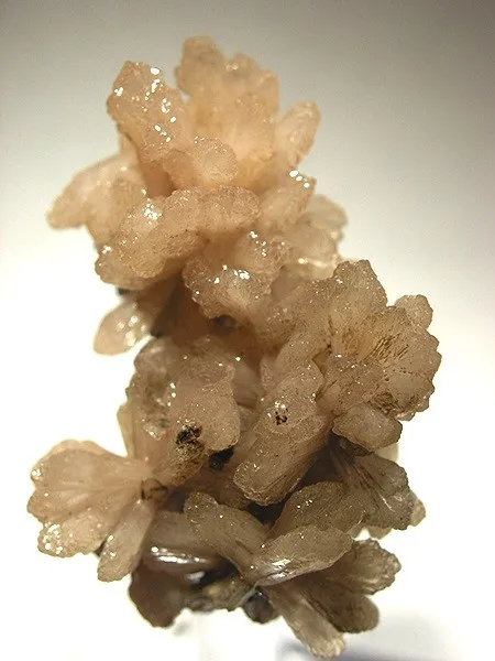 Poldervaartite - image 1