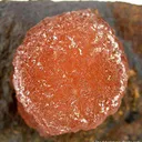 Poldervaartite - image 2