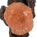 Poldervaartite - image 2