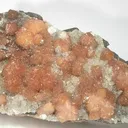 Poldervaartite - image 1