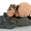 Poldervaartite - image 1