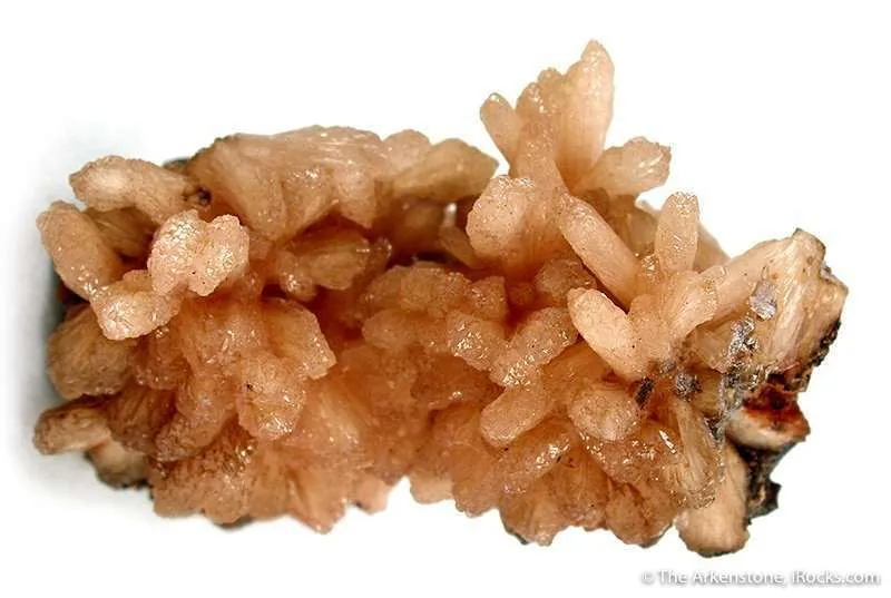 Poldervaartite (From Original Find) image