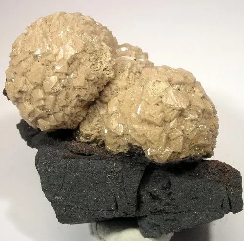 Poldervaartite, Hausmannite image