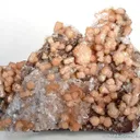 Poldervaartite on Calcite - image 1