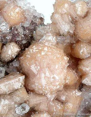 Poldervaartite on Calcite - image 2