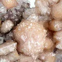 Poldervaartite on Calcite - image 2