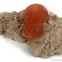 Poldervaartite on Chalcedony-Coated Calcite - image 1