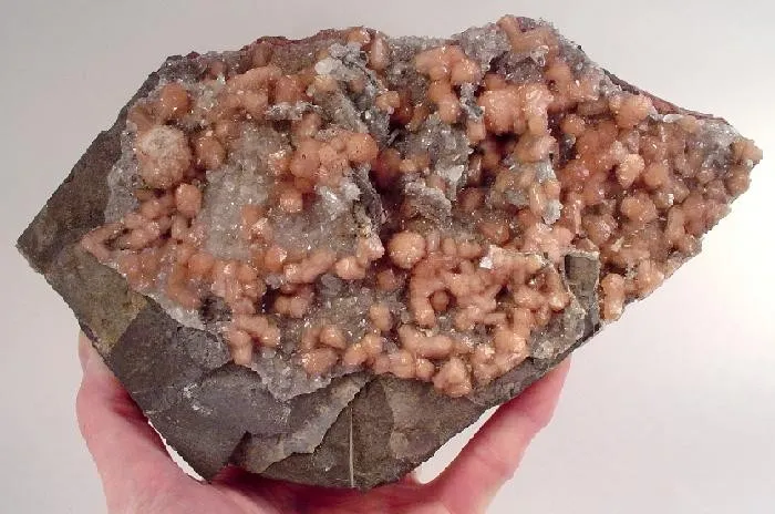 Poldervaartite, Quartz image