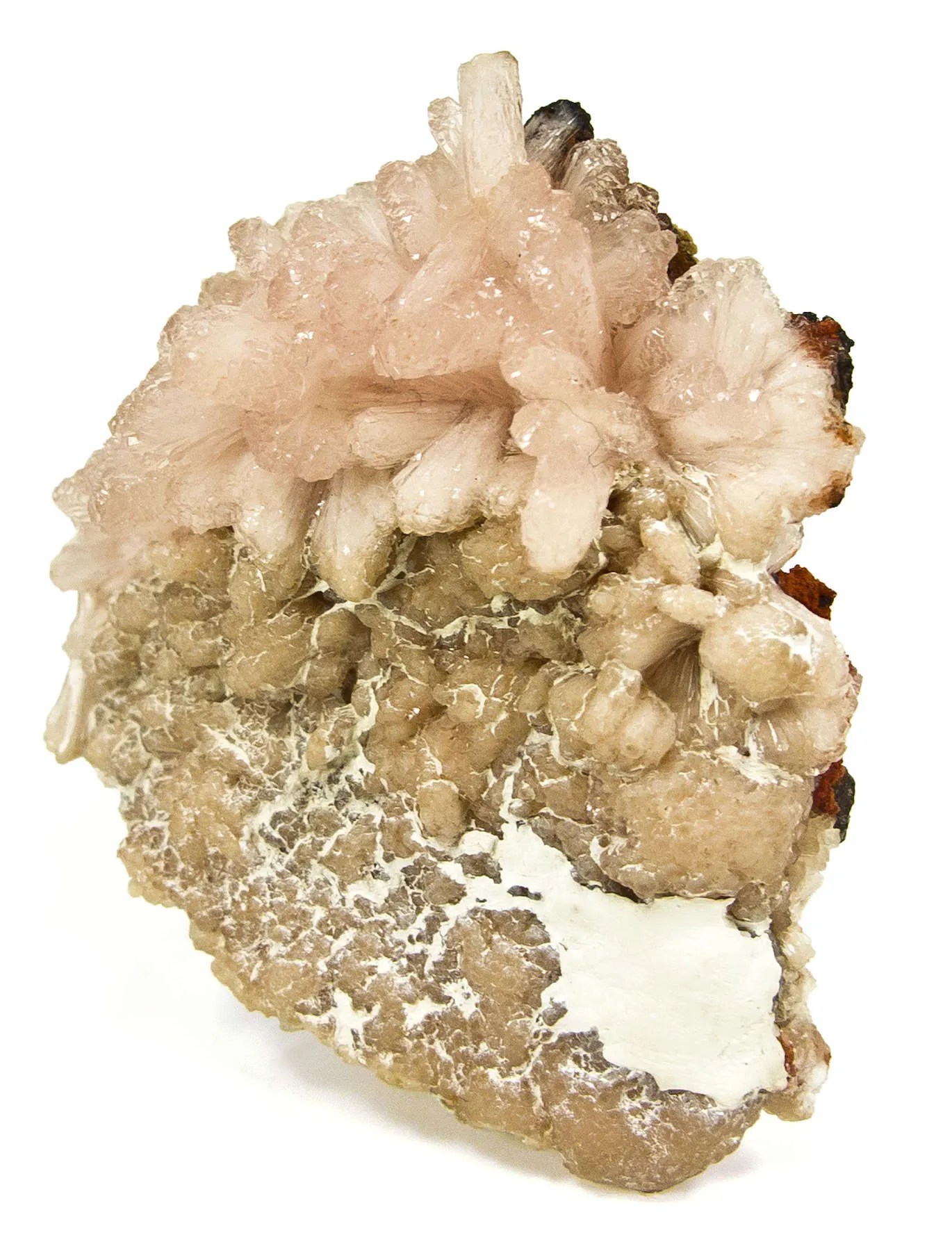 Poldervaartite (Type Loc.) - image 3