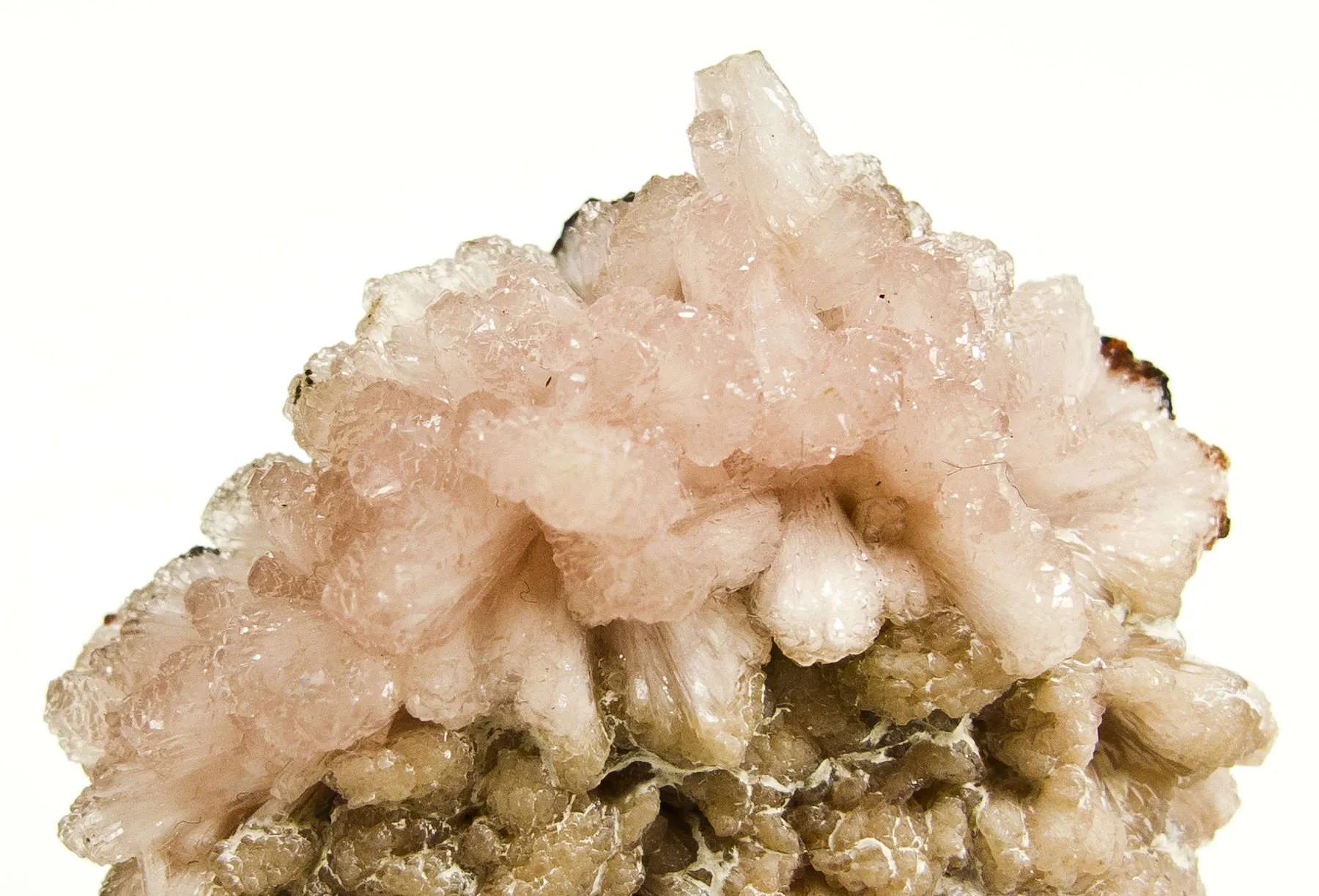 Poldervaartite (Type Loc.) - image 2