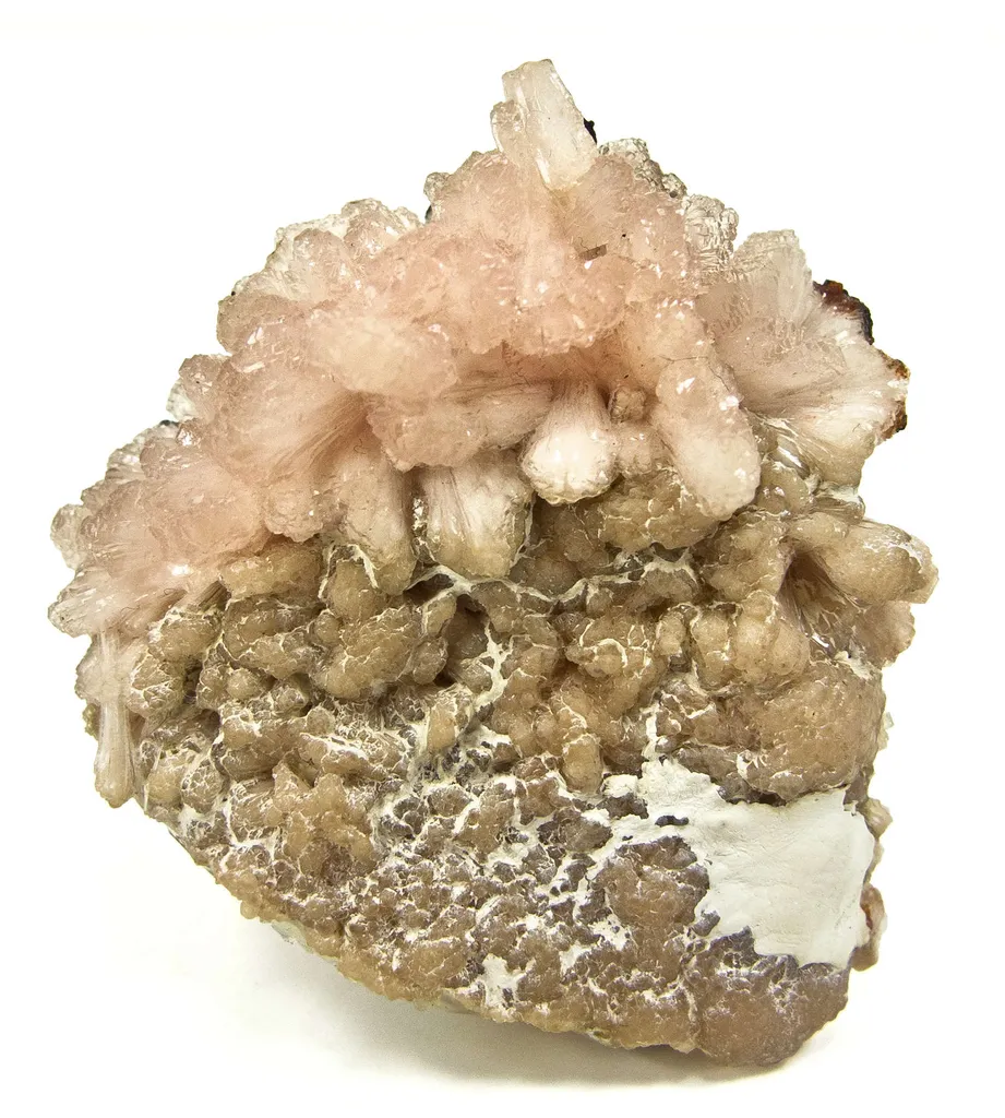 Poldervaartite (Type Loc.) image