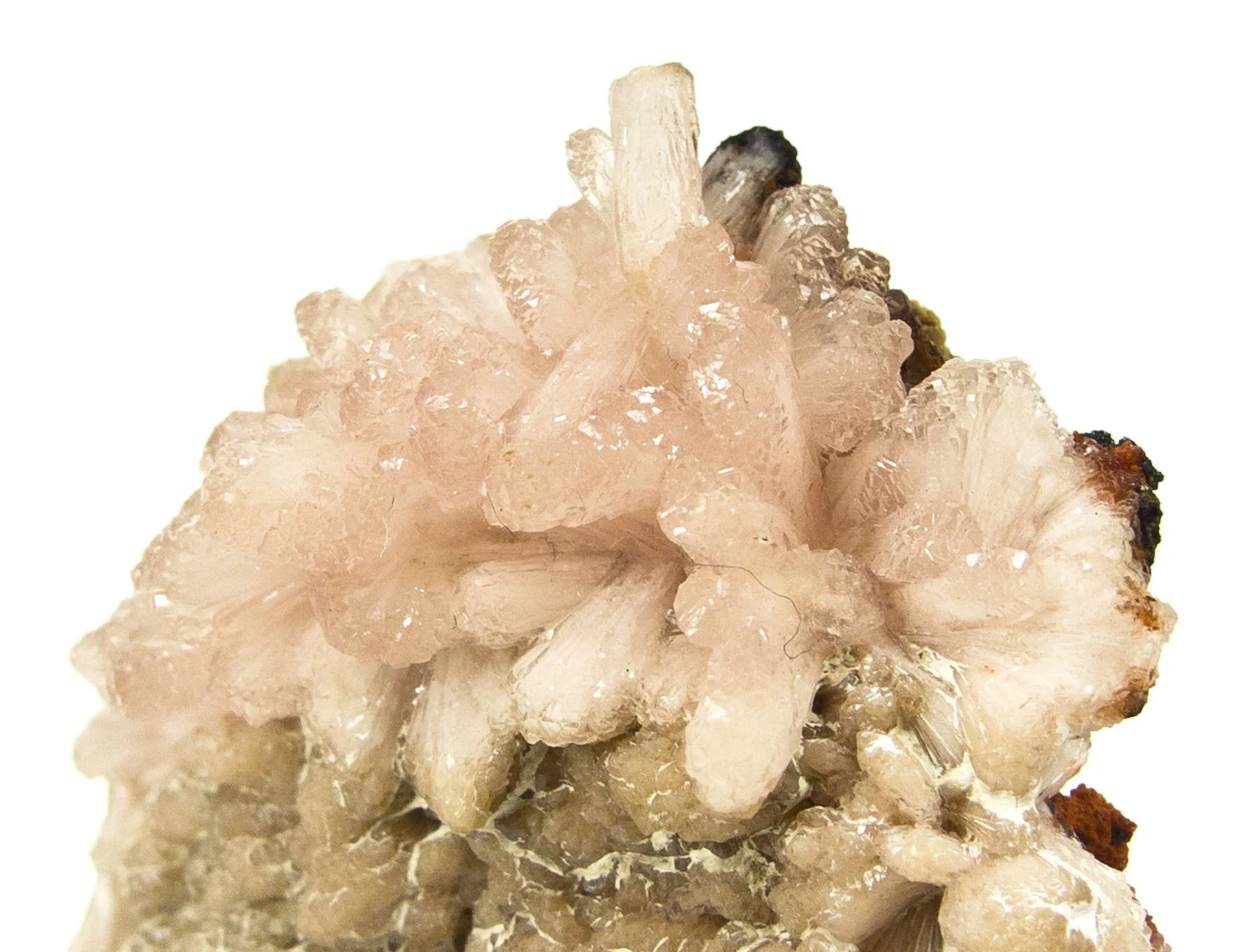 Poldervaartite (Type Loc.) - image 4