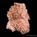 Poldervaartite (Type Locality) - image 3