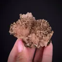 Poldervaartite (Type Locality) - image 1