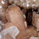 Poldervaartite With Calcite - image 3