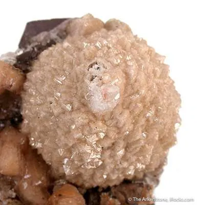 Poldervaartite With Calcite - image 2