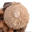 Poldervaartite With Calcite - image 2