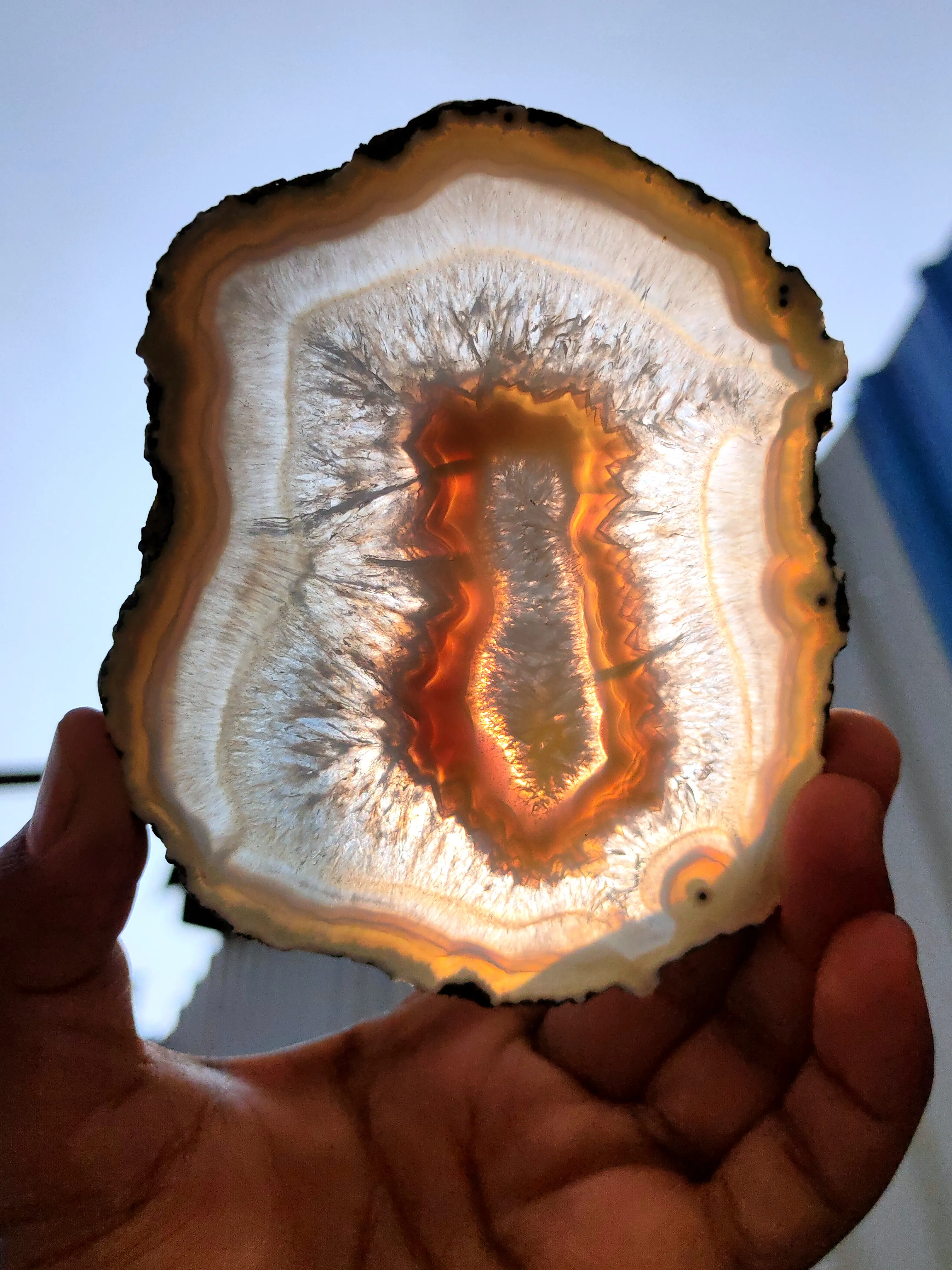 Polished Agate Slice, If you turn it towards the sun, it will turn completely yellow, - image 6