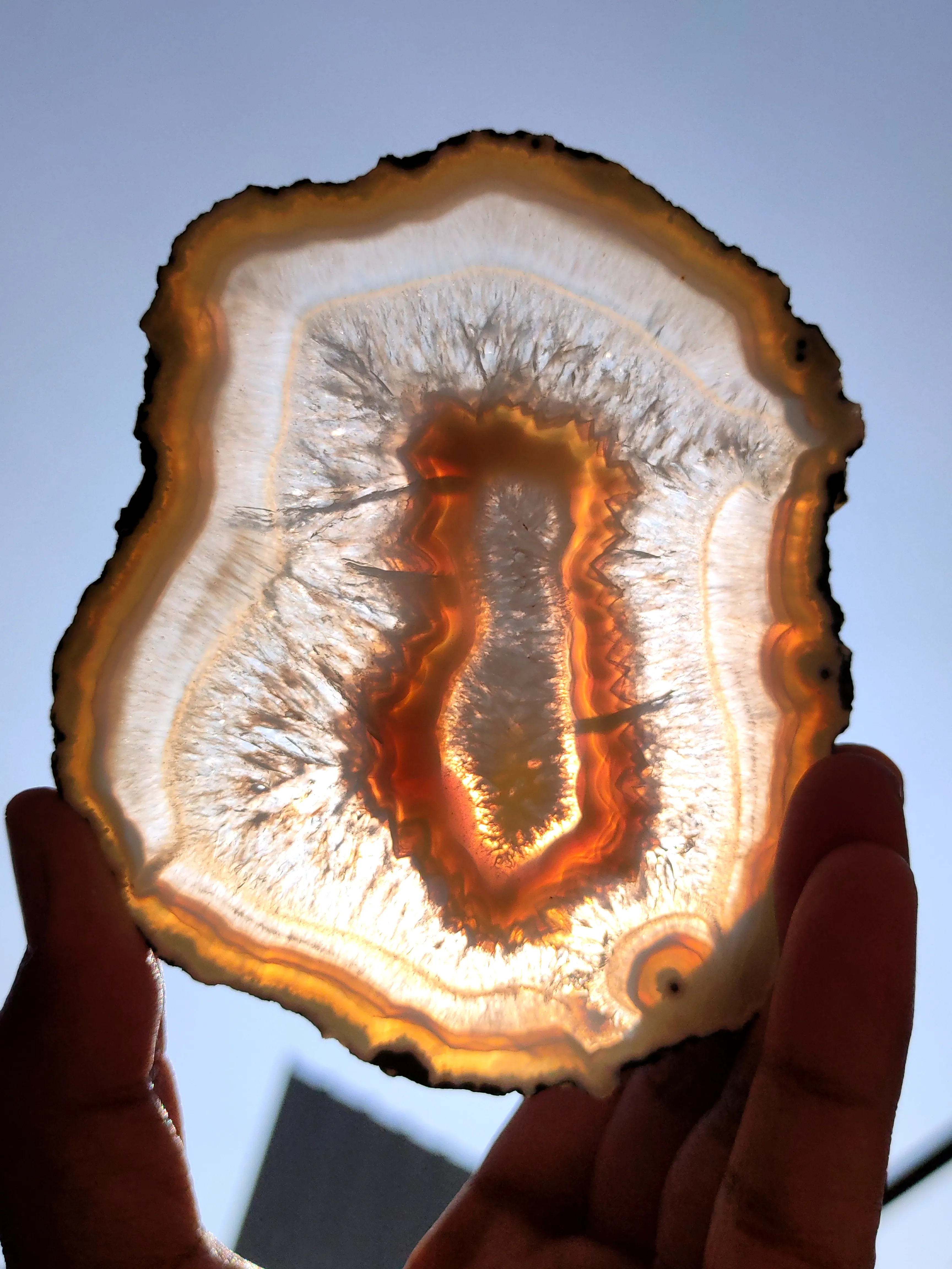 Polished Agate Slice, If you turn it towards the sun, it will turn completely yellow, - image 8