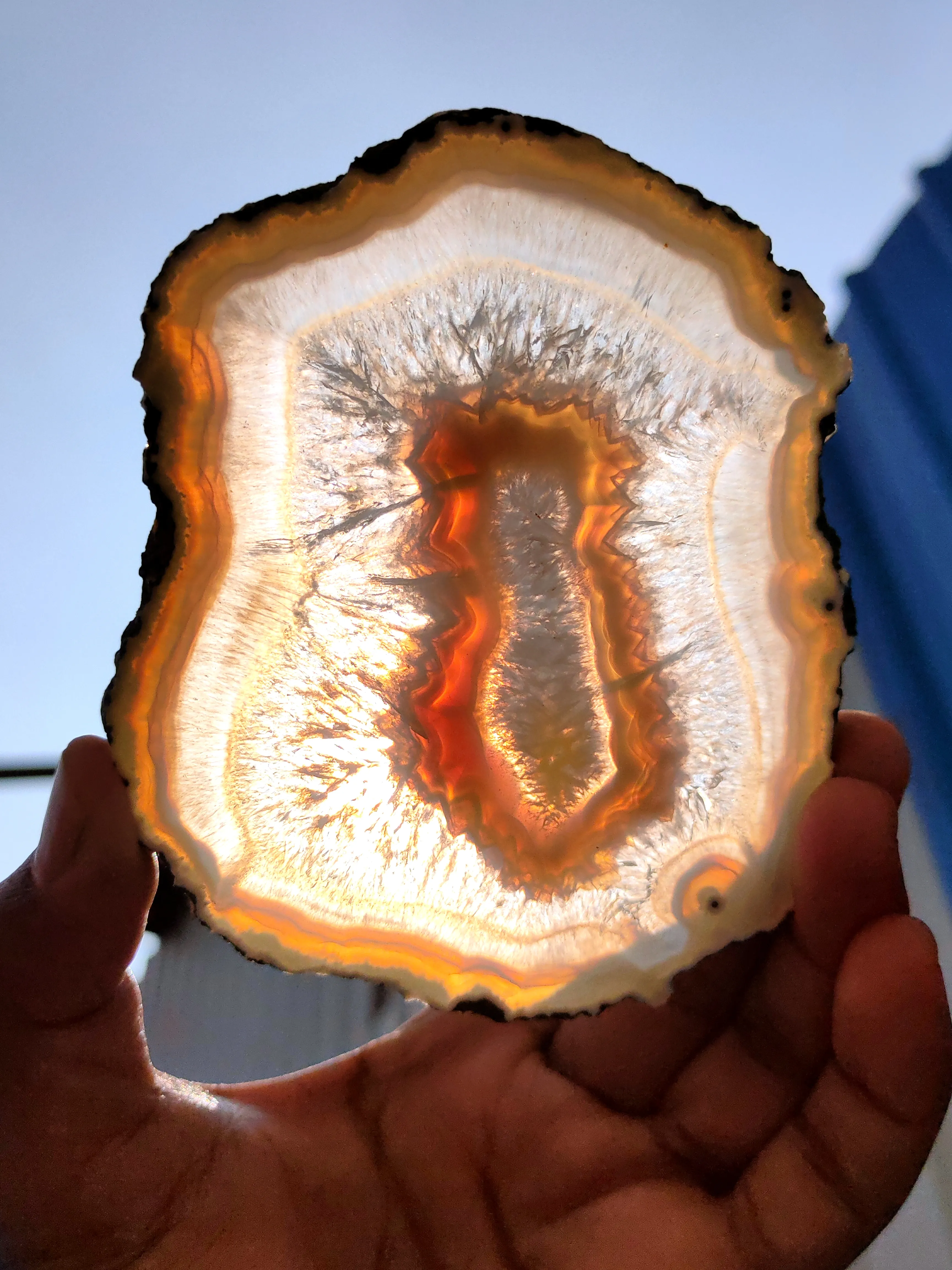 Polished Agate Slice, If you turn it towards the sun, it will turn completely yellow, - image 2